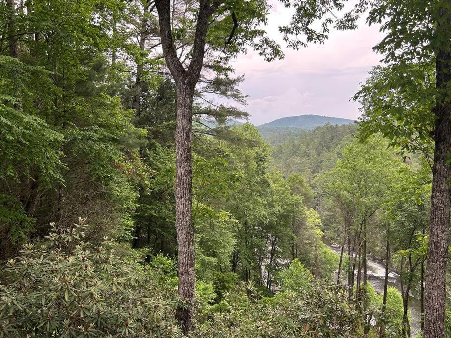 Treehouse Cabin With Mountain, River Views And Arcades Blue Ridge Kültér fotó